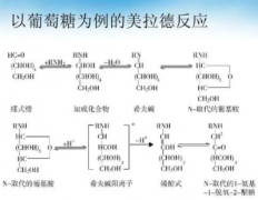 烘焙过程中美拉德反应有哪些作用